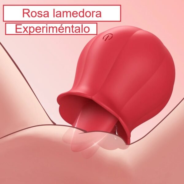 Rosa lengüita lamedora - Imagen 8